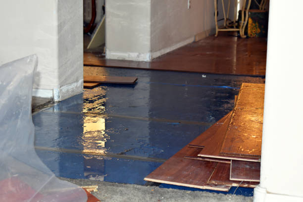 Professional Water Damage Restoration technician working in Lecompton, KS